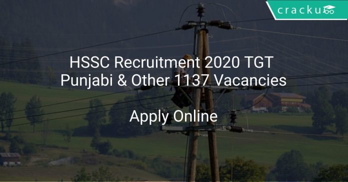 HSSC Recruitment 2020 TGT Punjabi & Other 1137 Vacancies