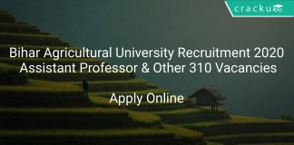 Bihar Agricultural University Recruitment 2020 Assistant Professor & Other 310 Vacancies