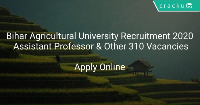 Bihar Agricultural University Recruitment 2020 Assistant Professor & Other 310 Vacancies
