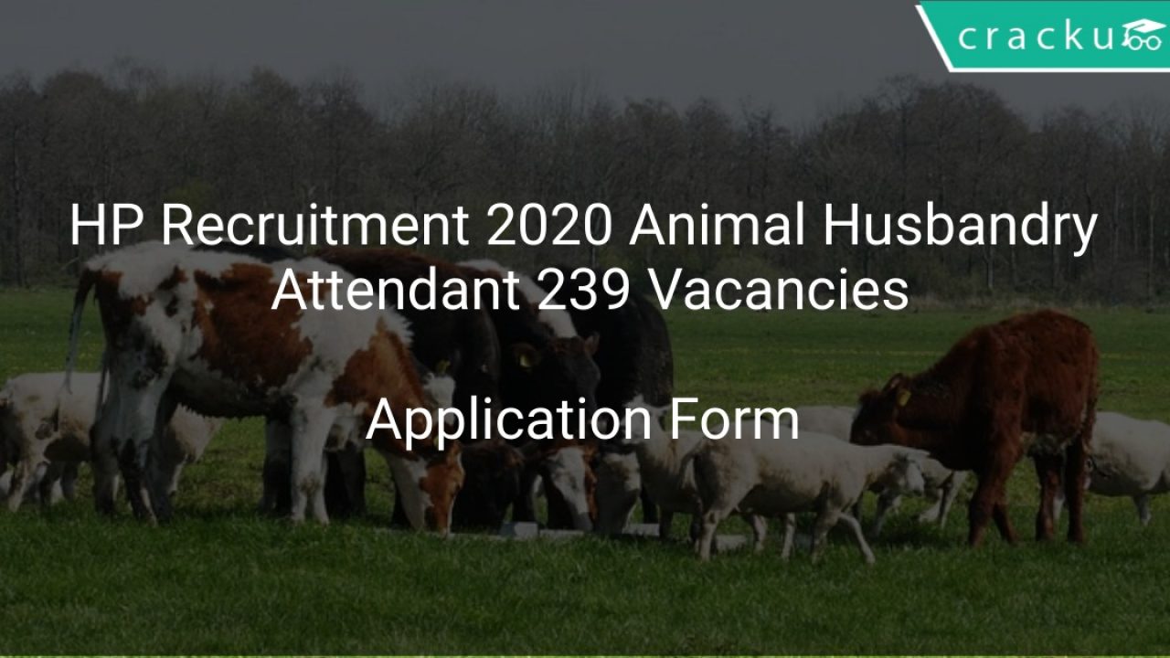 HP Govt Recruitment 2020 Animal Husbandry Attendant 239 Vacancies - Latest  Govt Jobs 2021 | Government Job Vacancies Notification Alert