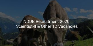 NDDB Recruitment 2020