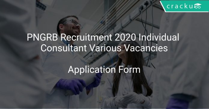 PNGRB Recruitment 2020 Individual Consultant Various Vacancies