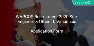 WAPCOS Recruitment 2020 Site Engineer & Other 10 Vacancies