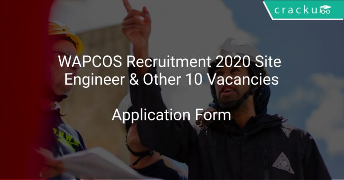 WAPCOS Recruitment 2020 Site Engineer & Other 10 Vacancies
