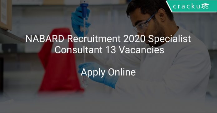NABARD Recruitment 2020 Specialist Consultant 13 Vacancies