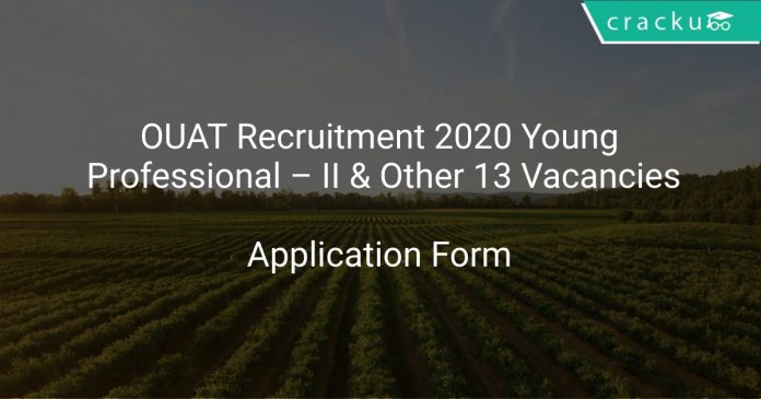 OUAT Recruitment 2020 Young Professional – II & Other 13 Vacancies