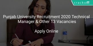Punjab University Recruitment 2020 Technical Manager & Other 13 Vacancies