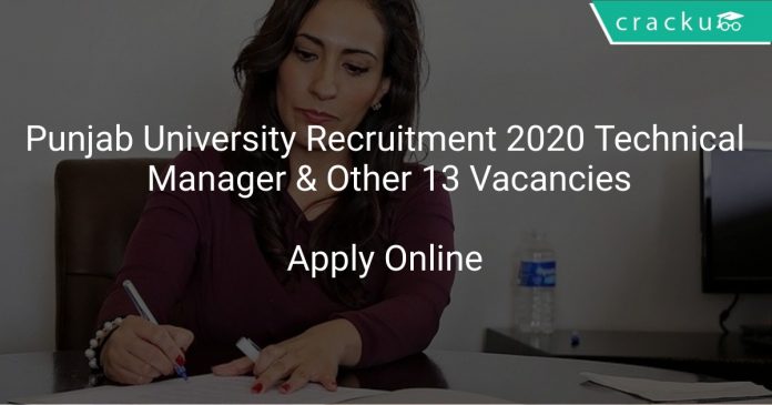 Punjab University Recruitment 2020 Technical Manager & Other 13 Vacancies