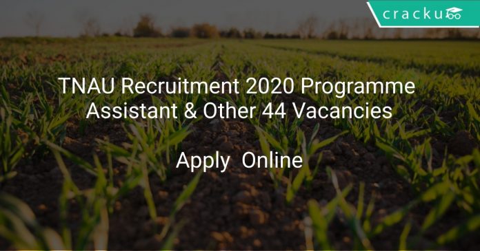 TNAU Recruitment 2020 Programme Assistant & Other 44 Vacancies