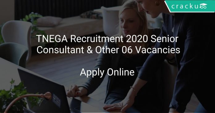 TNEGA Recruitment 2020 Senior Consultant & Other 06 Vacancies