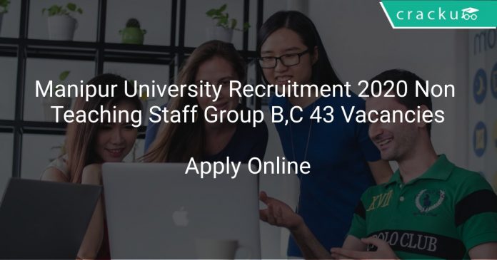 Manipur University Recruitment 2020 Non Teaching Staff Group B,C 43 Vacancies
