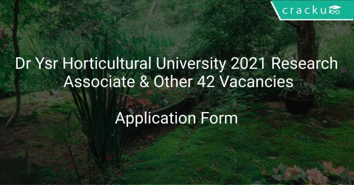 Dr Ysr Horticultural University Recruitment 2021 Research Associate & Other 42 Vacancies