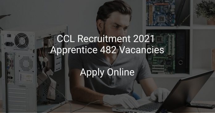 CCL Recruitment 2021 Apprentice 482 Vacancies