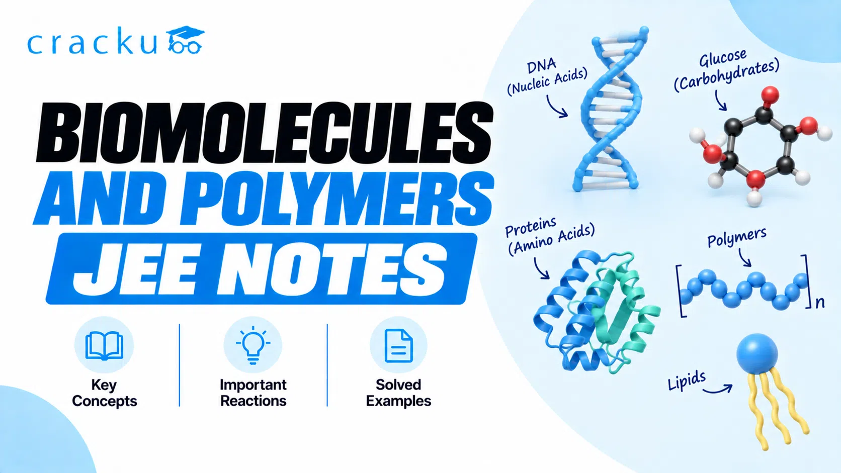 Biomolecules and Polymers JEE Notes PDF: Download Now