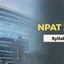 NPAT Syllabus 2026, Section-wise Pattern, Download PDF