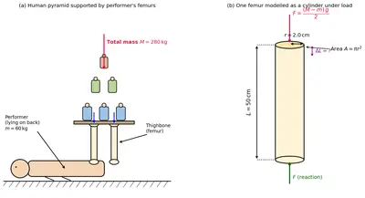 Fig. 8.4