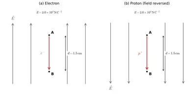 Fig. 1.10