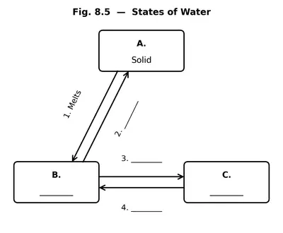 Fig. 8.5