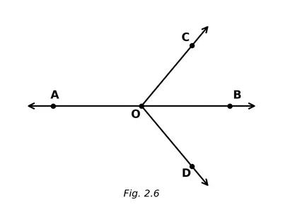 Fig. 2.6