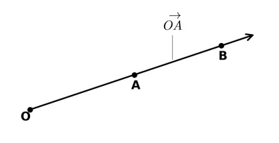 Fig. 2.7