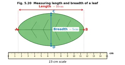 Fig. 5.20