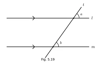 Fig. 5.19