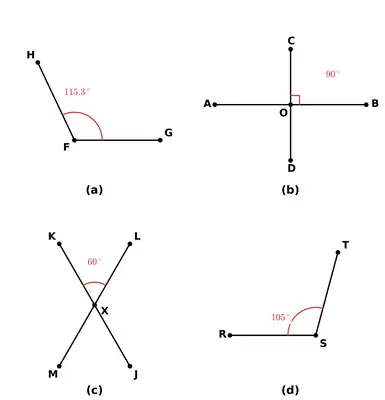 Fig. 5.5
