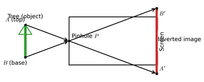 Fig. 11.19
