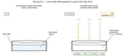 Fig. 8.5