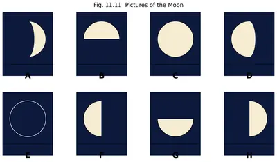 Fig. 11.11